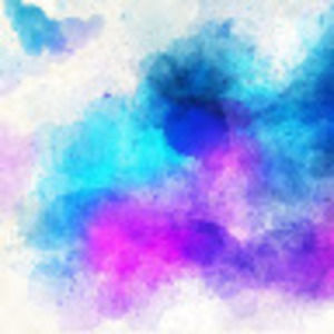 Meet your Posher, Bella